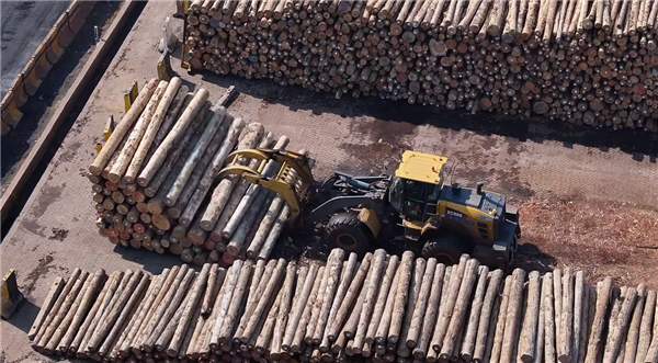国内木材进口：近十年内首次跌破6000万(图6)