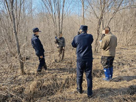 破坏国家重点保护植物做架条？男子因小失大，涉嫌违法被查！(图1)