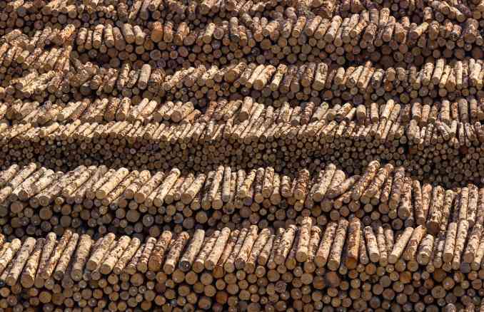 国内木材市场“阶段性冲刺”，进口反弹增长15.9%！(图1)