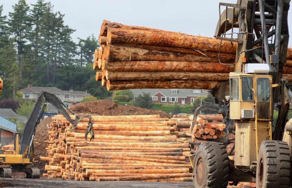 国内木材市场“阶段性冲刺”，进口反弹增长15.9%！(图9)