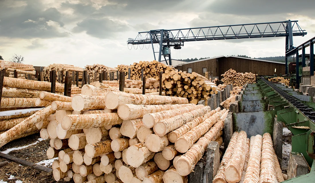 南京林业大学研发振动传感技术，实现木材水分快速无损检测(图3)