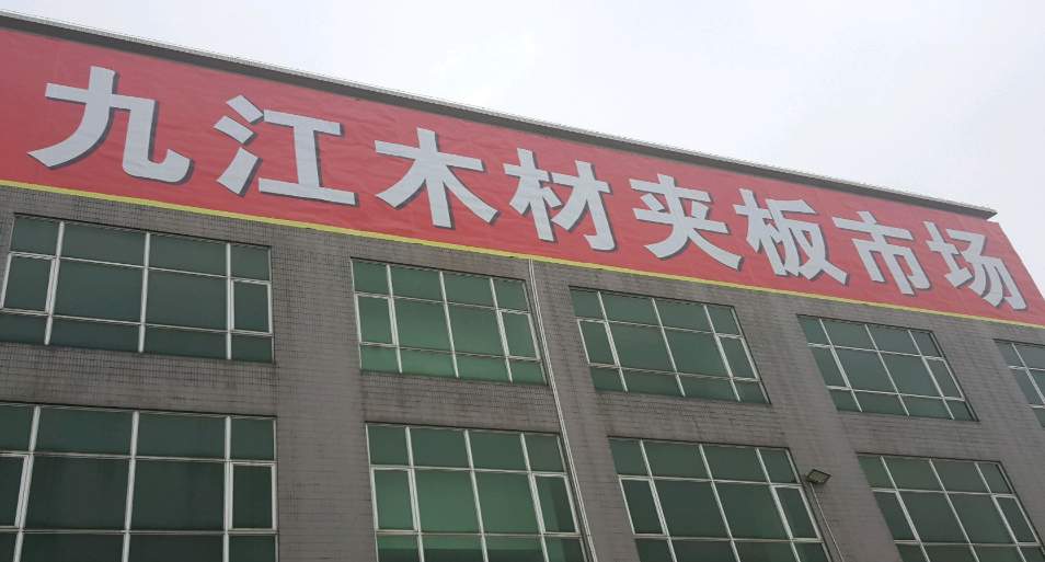 广东主要木材市场，你知道有哪些？(图5)
