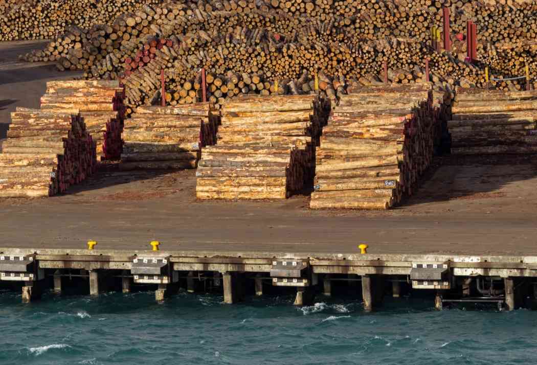 木材进口量连续第六个月“跳水”，8月进口再降两成！(图4)