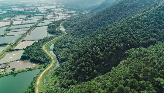 中央财政补 8.56 亿元！广东国土绿化项目入选全国 10 强 守护大湾区西部生