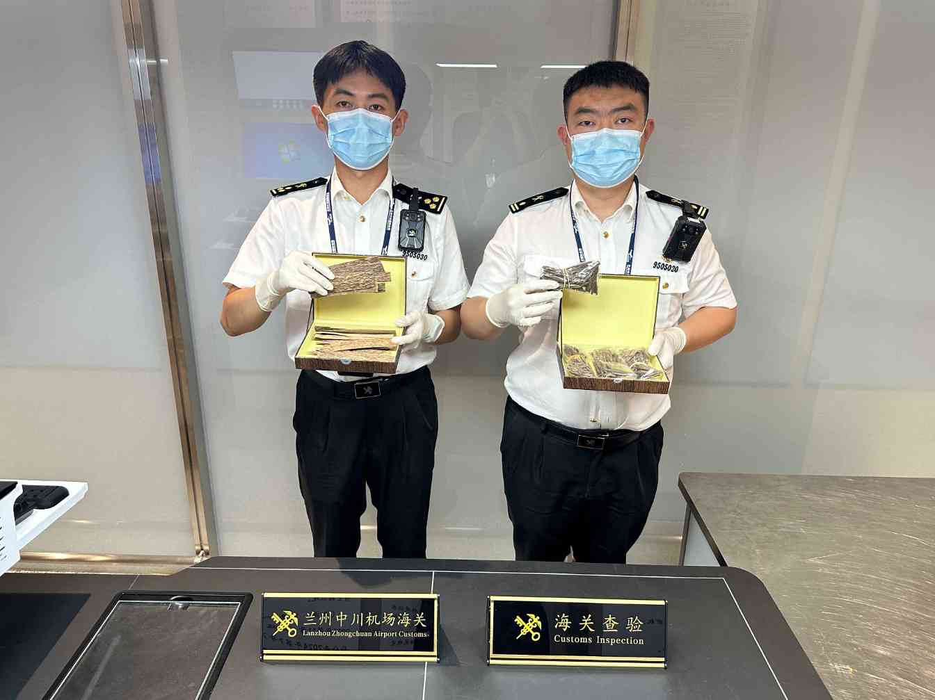 首次！中川机场海关查获阔叶黄檀、萨米维腊木制品(图1)