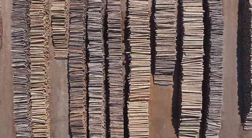 连续5个月负增长！2025中国木材进口“失速”！(图4)