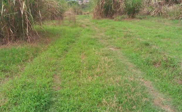 土地证过户流程和土地证过户费用介绍