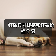 红砖尺寸规格和红砖价格介绍(图2) 红砖尺寸规格和红砖价格介绍(图2)