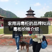 家用消毒柜的品牌和消毒柜价格介绍(图4) 家用消毒柜的品牌和消毒柜价格介绍(图4)