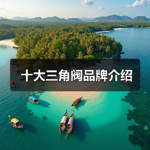 十大三角阀品牌介绍(图1) 十大三角阀品牌介绍(图1)