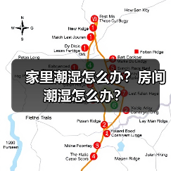 家里潮湿怎么办?房间潮湿怎么办?(图3) 家里潮湿怎么办?房间潮湿怎么办?(图3)