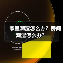 家里潮湿怎么办?房间潮湿怎么办?(图4) 家里潮湿怎么办?房间潮湿怎么办?(图4)