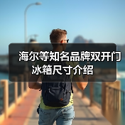 海尔等知名品牌双开门冰箱尺寸介绍(图1) 海尔等知名品牌双开门冰箱尺寸介绍(图1)