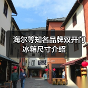 海尔等知名品牌双开门冰箱尺寸介绍(图2) 海尔等知名品牌双开门冰箱尺寸介绍(图2)