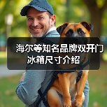 海尔等知名品牌双开门冰箱尺寸介绍(图3) 海尔等知名品牌双开门冰箱尺寸介绍(图3)