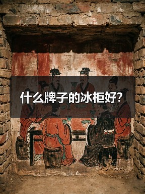 什么牌子的冰柜好?(图2) 什么牌子的冰柜好?(图2)