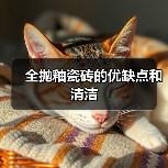 全抛釉瓷砖的优缺点和清洁(图1) 全抛釉瓷砖的优缺点和清洁(图1)