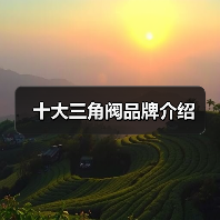 十大三角阀品牌介绍(图4) 十大三角阀品牌介绍(图4)
