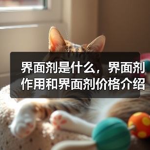 界面剂是什么,界面剂作用和界面剂价格介绍(图2) 界面剂是什么,界面剂作用和界面剂价格介绍(图2)