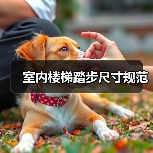 室内楼梯踏步尺寸规范(图4) 室内楼梯踏步尺寸规范(图4)