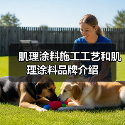 肌理涂料施工工艺和肌理涂料品牌介绍(图3) 肌理涂料施工工艺和肌理涂料品牌介绍(图3)