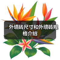 外墙砖尺寸和外墙砖规格介绍(图2) 外墙砖尺寸和外墙砖规格介绍(图2)