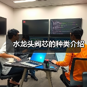 水龙头阀芯的种类介绍(图2) 水龙头阀芯的种类介绍(图2)
