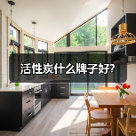 活性炭什么牌子好?(图1) 活性炭什么牌子好?(图1)