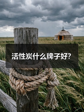 活性炭什么牌子好?(图4) 活性炭什么牌子好?(图4)