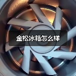 金松冰箱怎么样(图1) 金松冰箱怎么样(图1)