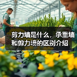 剪力墙是什么,承重墙和剪力墙的区别介绍(图2) 剪力墙是什么,承重墙和剪力墙的区别介绍(图2)