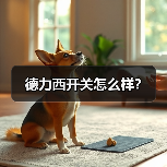 德力西开关怎么样?(图1) 德力西开关怎么样?(图1)
