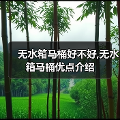 无水箱马桶好不好,无水箱马桶优点介绍(图1) 无水箱马桶好不好,无水箱马桶优点介绍(图1)