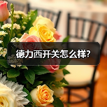 德力西开关怎么样?(图3) 德力西开关怎么样?(图3)