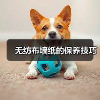 无纺布墙纸的保养技巧(图2) 无纺布墙纸的保养技巧(图2)