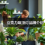 亚克力吸顶灯品牌介绍(图1) 亚克力吸顶灯品牌介绍(图1)