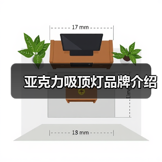 亚克力吸顶灯品牌介绍(图4) 亚克力吸顶灯品牌介绍(图4)