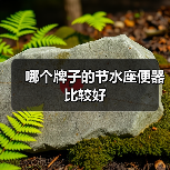 哪个牌子的节水座便器比较好(图2) 哪个牌子的节水座便器比较好(图2)