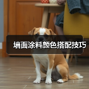 墙面涂料颜色搭配技巧(图2) 墙面涂料颜色搭配技巧(图2)
