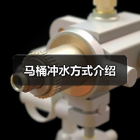 马桶冲水方式介绍(图4) 马桶冲水方式介绍(图4)