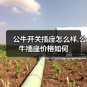 公牛开关插座怎么样,公牛插座价格如何(图4) 公牛开关插座怎么样,公牛插座价格如何(图4)