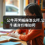 公牛开关插座怎么样,公牛插座价格如何(图1) 公牛开关插座怎么样,公牛插座价格如何(图1)