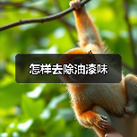 怎样去除油漆味(图3) 怎样去除油漆味(图3)
