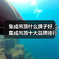 集成吊顶什么牌子好,集成吊顶十大品牌排行榜介绍(图1) 集成吊顶什么牌子好,集成吊顶十大品牌排行榜介绍(图1)