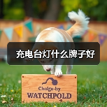 充电台灯什么牌子好(图4) 充电台灯什么牌子好(图4)