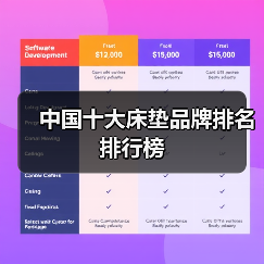 中国十大床垫品牌排名排行榜（图4）