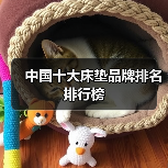 中国十大床垫品牌排名排行榜（图3）