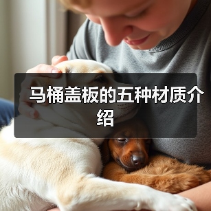 马桶盖板的五种材质介绍(图4) 马桶盖板的五种材质介绍(图4)