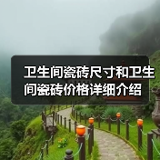 卫生间瓷砖尺寸和卫生间瓷砖价格详细介绍(图2) 卫生间瓷砖尺寸和卫生间瓷砖价格详细介绍(图2)