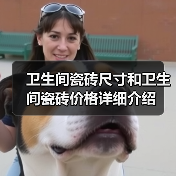 卫生间瓷砖尺寸和卫生间瓷砖价格详细介绍(图1) 卫生间瓷砖尺寸和卫生间瓷砖价格详细介绍(图1)